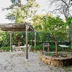 Lou Mi-re By Interhome * Cannes